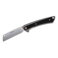 Buck 263 HILINE, D2 Stahl, rostfrei, Frame Lock, grau...