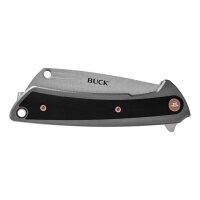 Buck 263 HILINE, D2 Stahl, rostfrei, Frame Lock, grau...